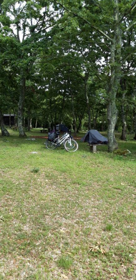 Hotel Bikers Camp Poreč Exteriér fotografie